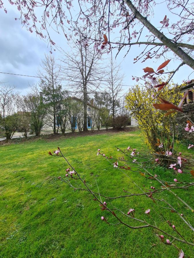Vila Le Terrier Maison De Campagne 250 M2 Grande Capacite 20 Couchages, 4500M2 De Terrain Saint-Pierre-du-Chemin Exteriér fotografie